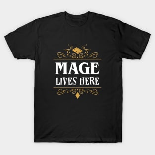 A Mage Lives Here Classes Series T-Shirt